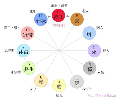 運勢種類|【十二運の早見表】意味を分かりやすくまとめました